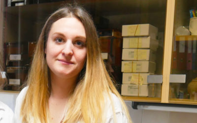 Intervista a Alice Zarri