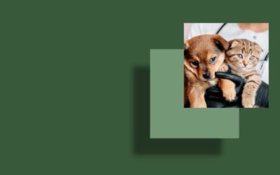 Omeopatia veterinaria –  Consigli utili